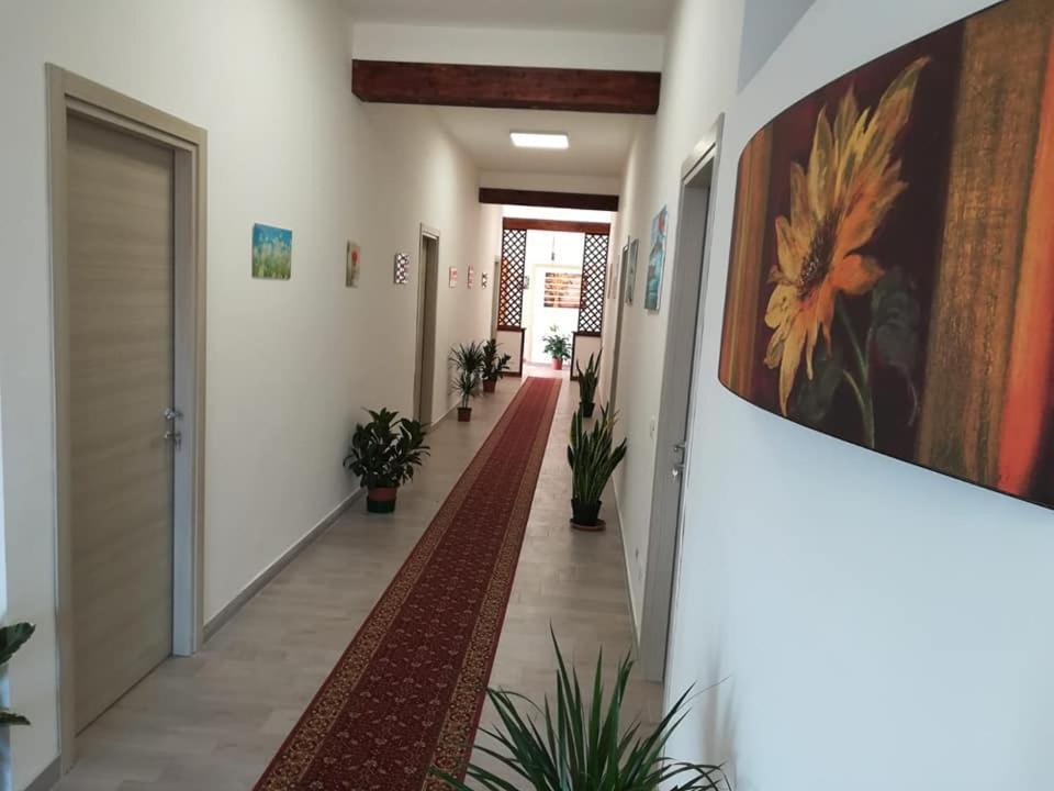 Casa Le Ali - Fraternità E Spiritualità Nel Cuore Di Bed & Breakfast