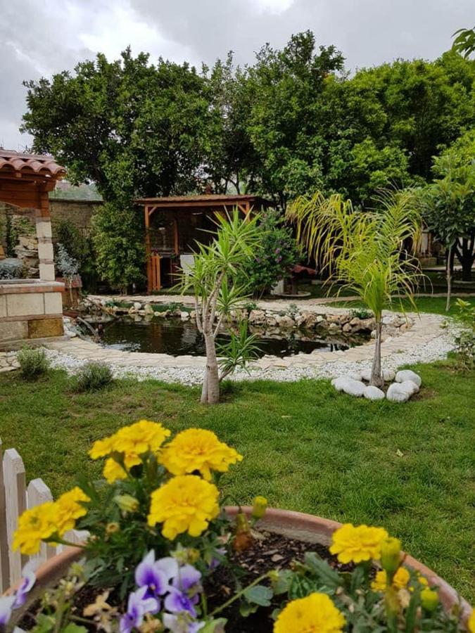 Casa Le Ali - Fraternità E Spiritualità Nel Cuore Di Bed & Breakfast *